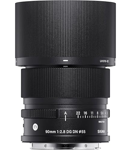 Amazon.com : 24mm F2 DG DN for Sony E : Electronics