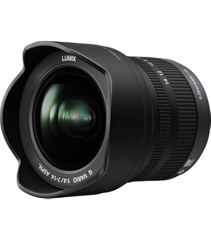 Amazon.com : PANASONIC LUMIX G VARIO LENS, 7-14MM, F4.0 ASPH