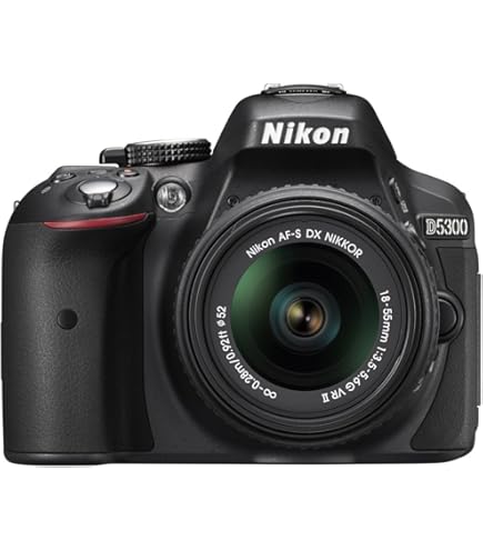 Amazon.com : Nikon D5300 24.2 MP CMOS Digital SLR Camera with 18
