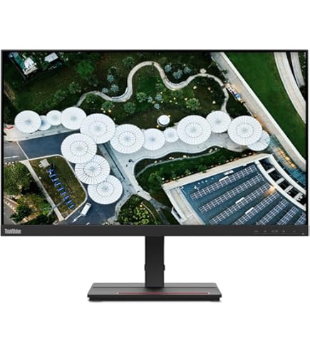 Amazon.com: Lenovo ThinkVision S24i-30 24