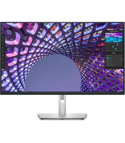 Vanilla】DELL 4k 32インチ p3222qe ハブモニター Dell 32 4K USB-C