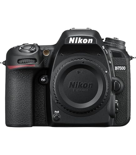 Amazon.com : Nikon D5300 24.2 MP CMOS Digital SLR Camera with 18