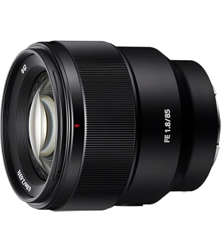 Amazon.com : SONY 55mm F1.8 Sonnar T FE ZA Full Frame Lens - Fixed