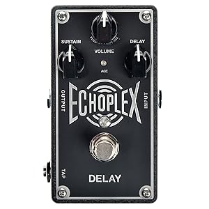 Electro Harmonix Grand Canyon - 多機能ディレイ「Canyon」をさらに