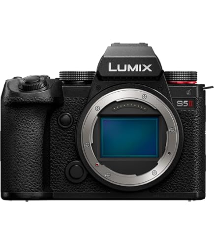 Amazon.com : Panasonic LUMIX S1 Full Frame Mirrorless Camera with