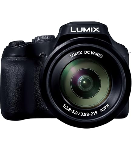 Amazon.com : Panasonic LUMIX ZS100 4K Digital Camera, 20.1
