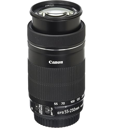 Amazon.com : Canon 75-300mm F4-5.6 III EF Lens (Non-USM) : Camera