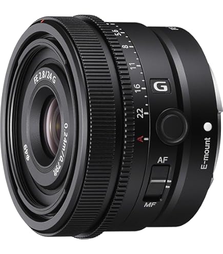Amazon.com : 24mm F2 DG DN for Sony E : Electronics