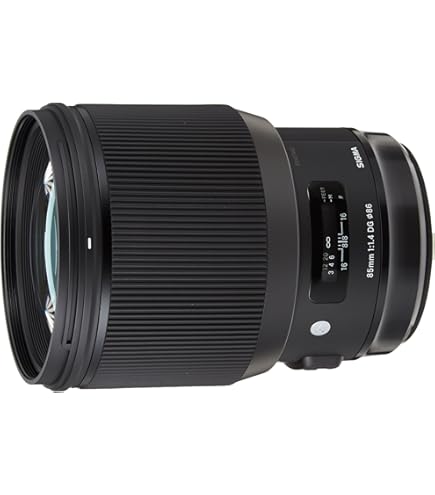 Amazon.com : Sigma 85mm F1.4 Art DG HSM : Electronics