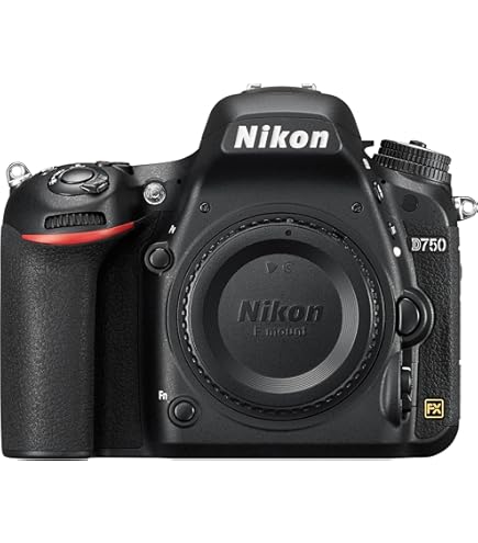Amazon.com : Nikon D300 DX 12.3MP Digital SLR Camera (Body Only