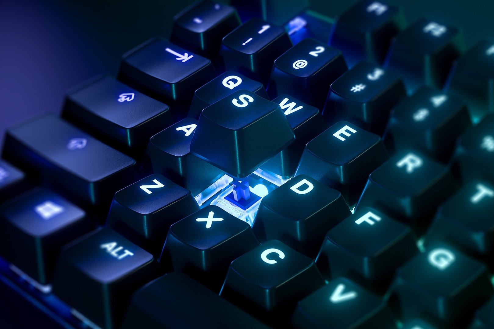 Apex 7 TKL (Blue Switch) US