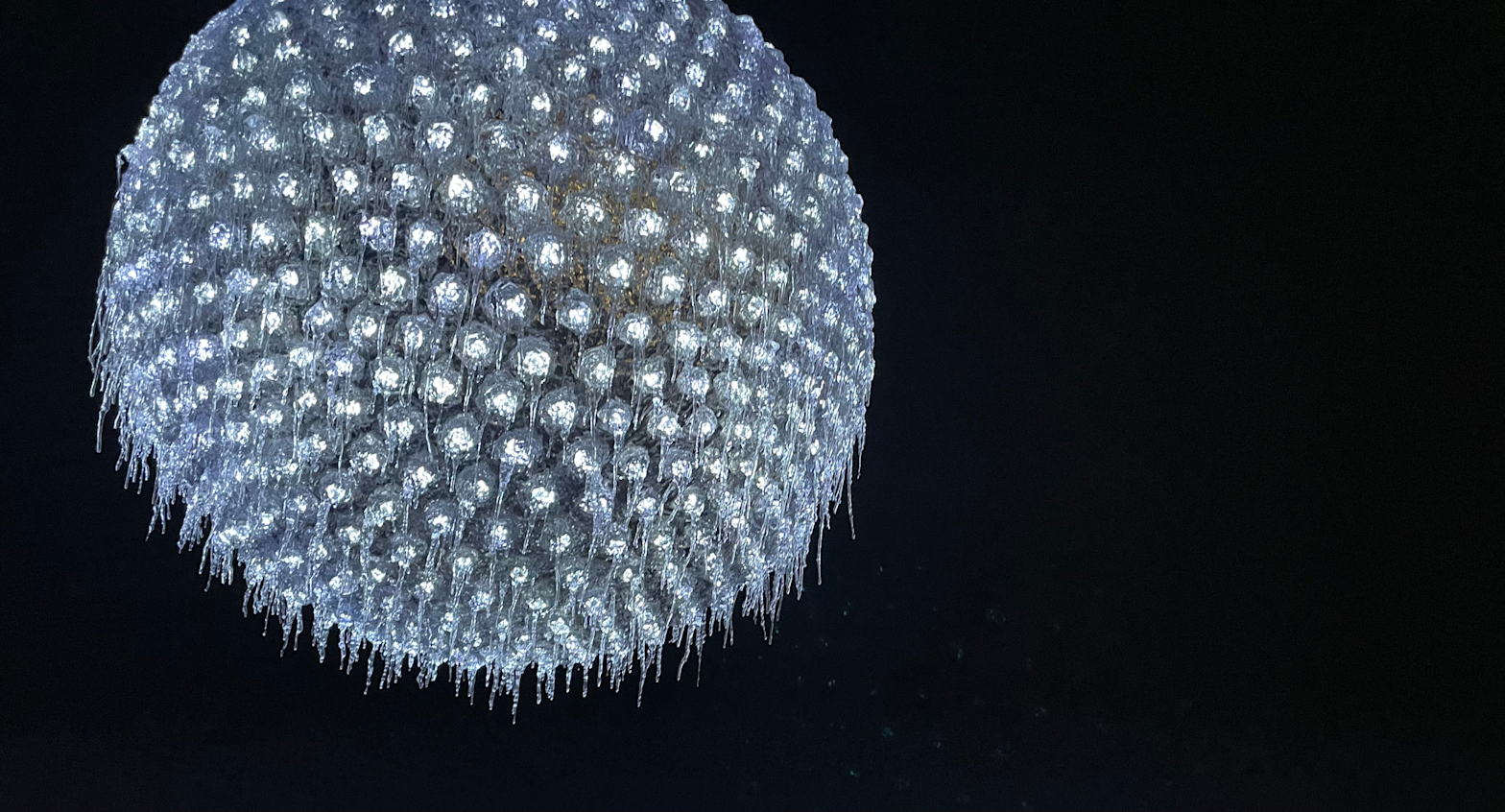 91C2D778-6E6E-40DD-9595-