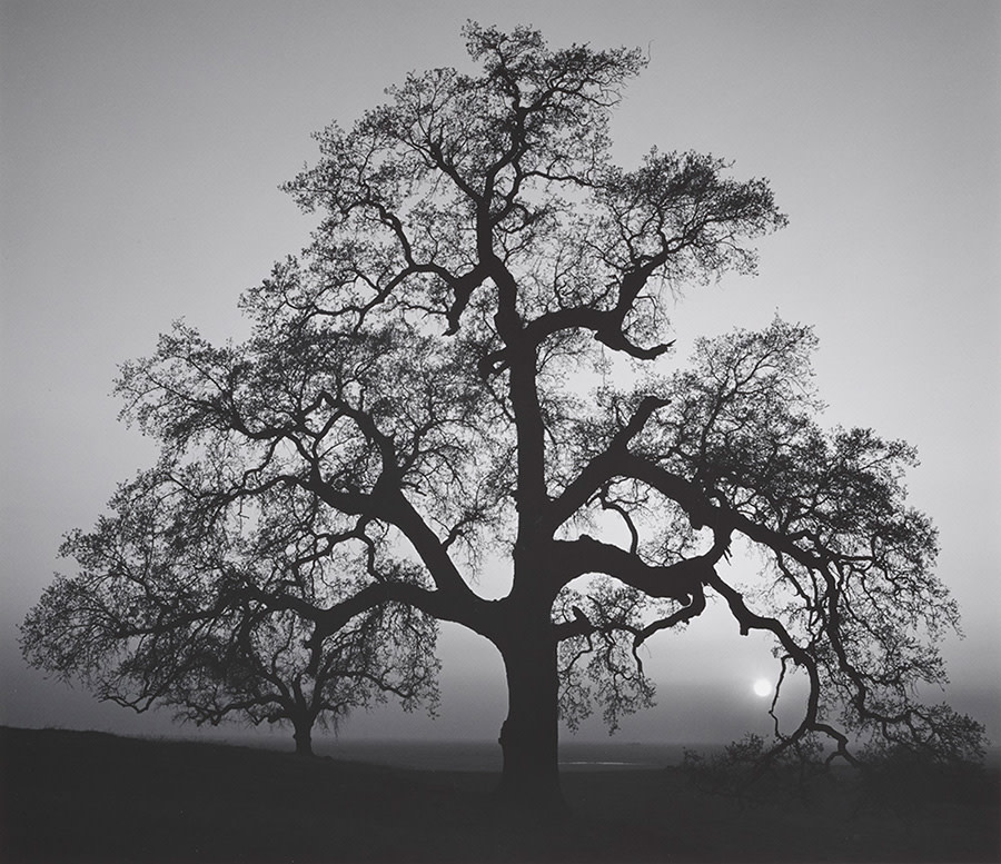 photo_event_240328_05_mv.jpeg?