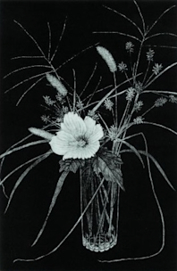 2018_0AAB?w=244&h=304&q=100