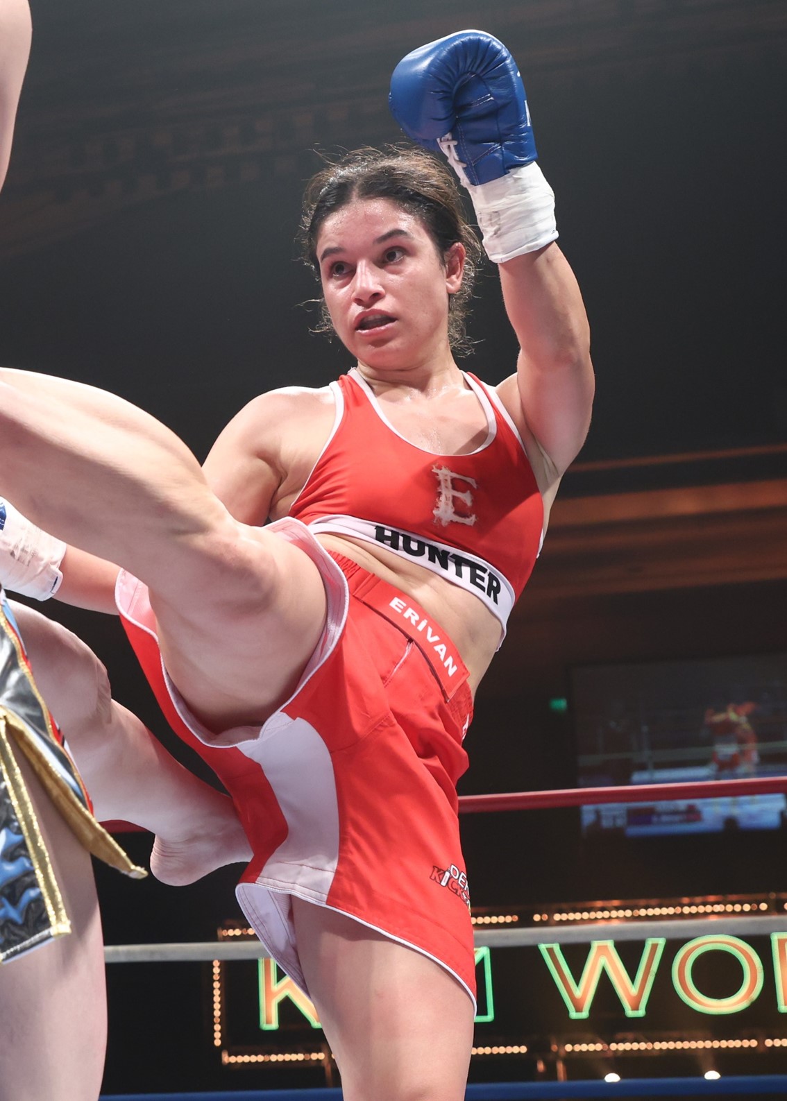 K‐1 ダリル・フェルドンク 実使用サイン入りグローブ