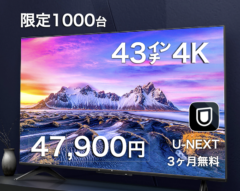 NTT受信料が要らない 動画配信視聴専用TV24V型 チューナーレスNET TV