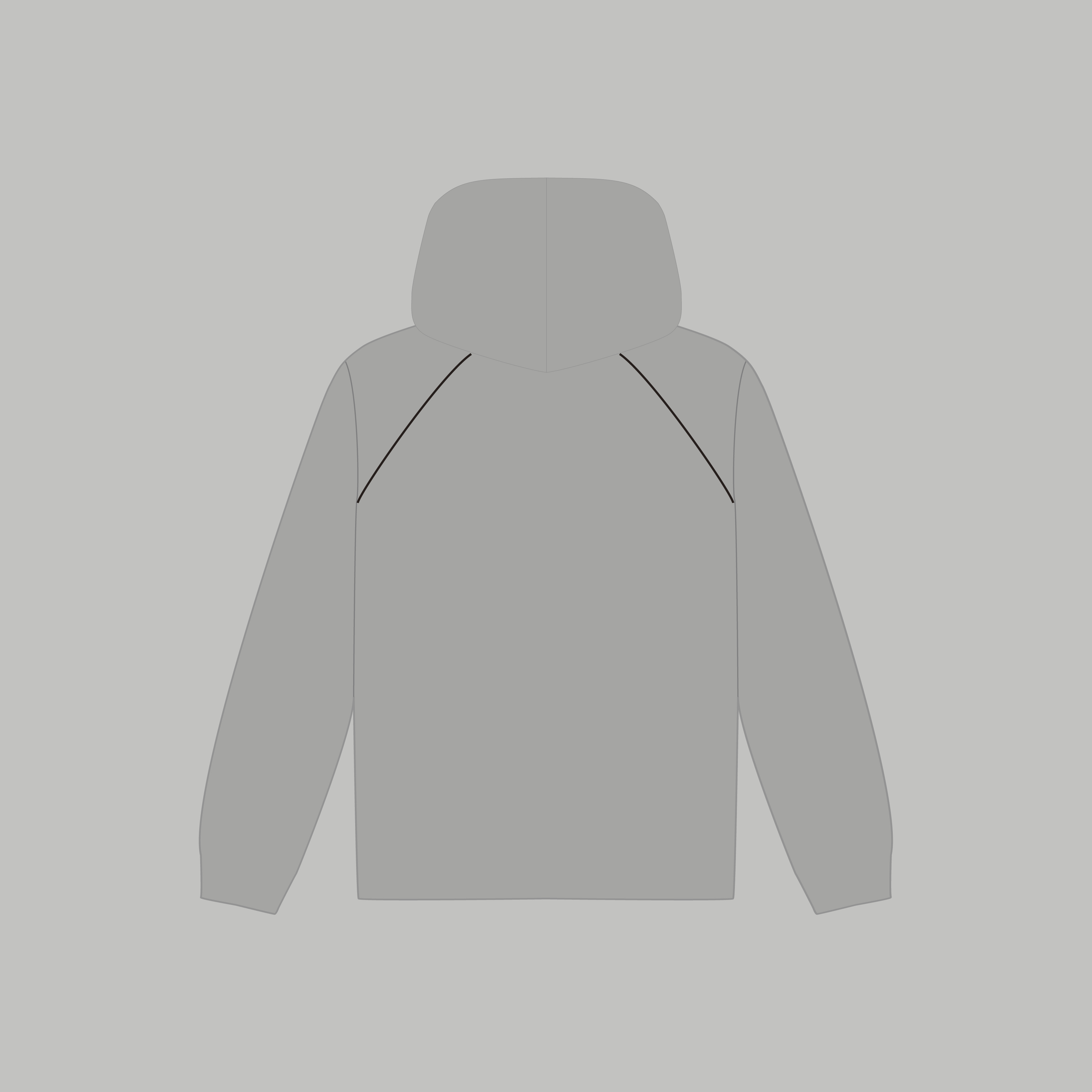 美波【PREMIUM☆APPAREL】373 ZIPUP HOODIE GRAY 美波【PREMIUM