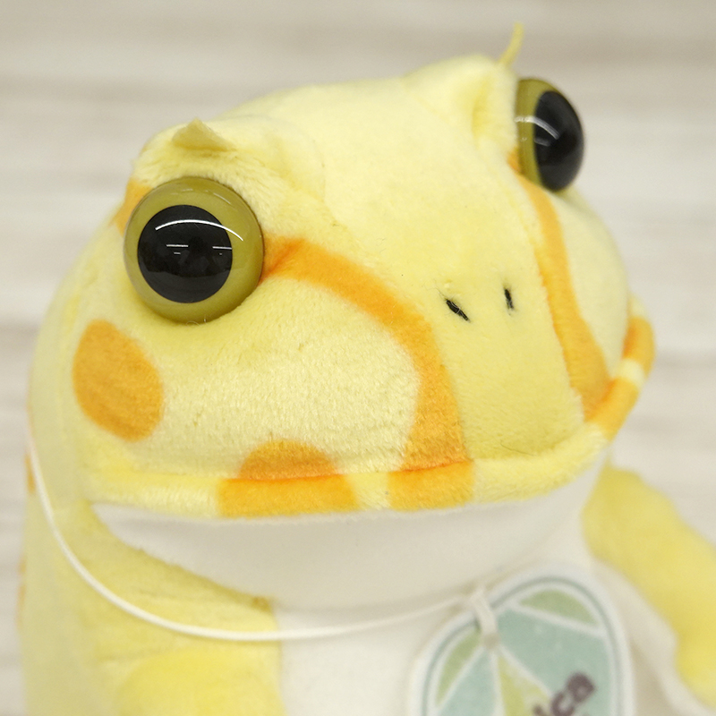 picnica ツノガエル【サン・アロー公式オンラインショップ】