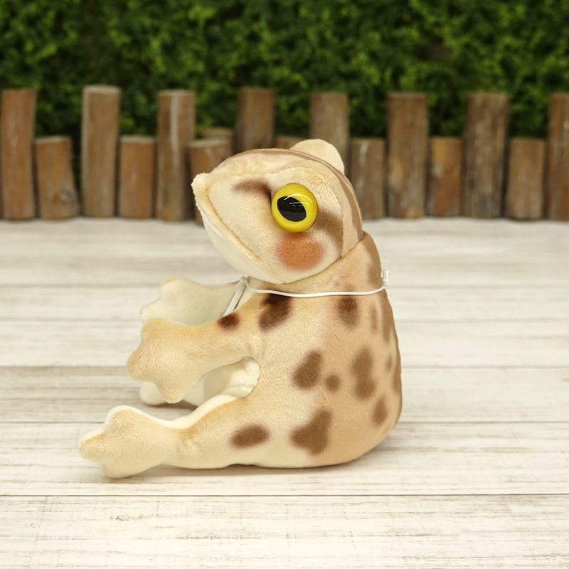 picnica トノサマガエル【サン・アロー公式オンラインショップ】