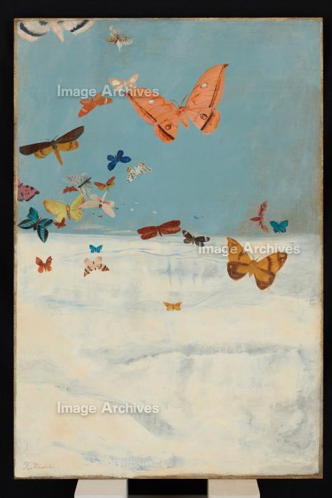 作品詳細 | 雲の上を飛ぶ蝶 | イメージアーカイブ - DNPアート