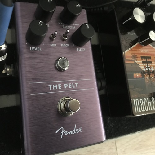 Fender The Pelt - What To Know & Where To Buy | Equipboard