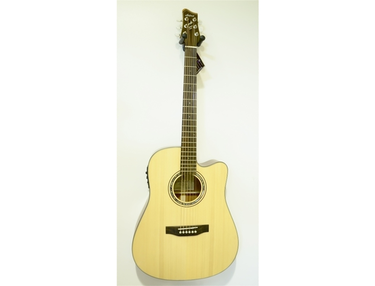 Aria FE-60 Elecord - What To Know & Where To Buy | Equipboard