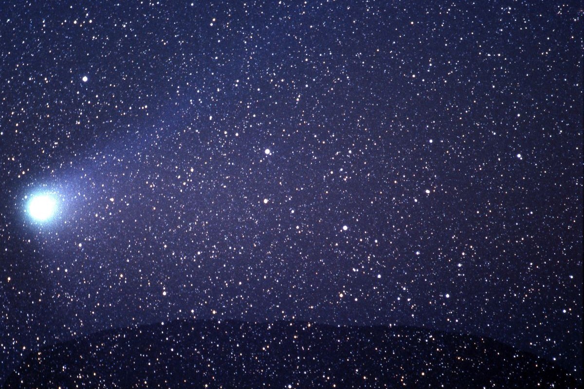 宇宙の流れ星の粉 ✨✨✨ ✨ホワイトフェアリーウィッシュ