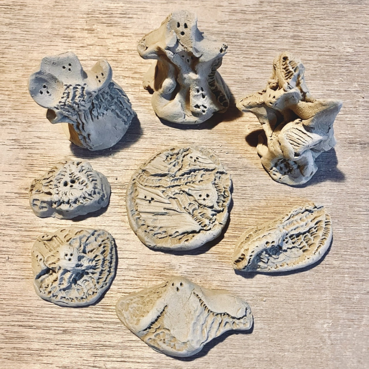 今治の古本カフェが県内作家との個性派ワークショップ 架空の化石