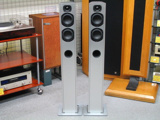 Piega TS5 スイス製トールボーイスピーカー