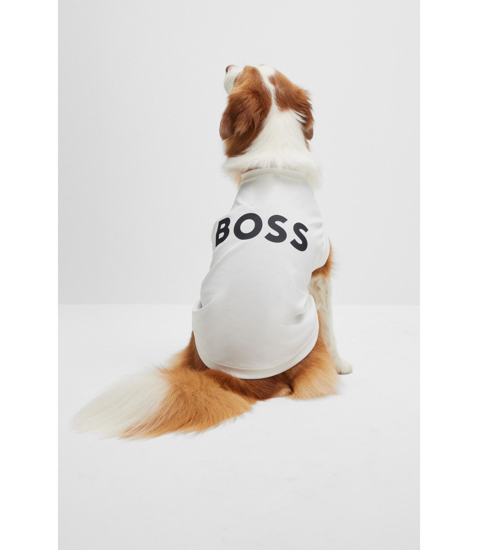 HUGO BOSSホワイトMenドッグアクセサリー