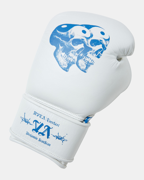 春に散る X WDS X EVERLAST BOXING GLOVE 10oz 春に散る X WDS X