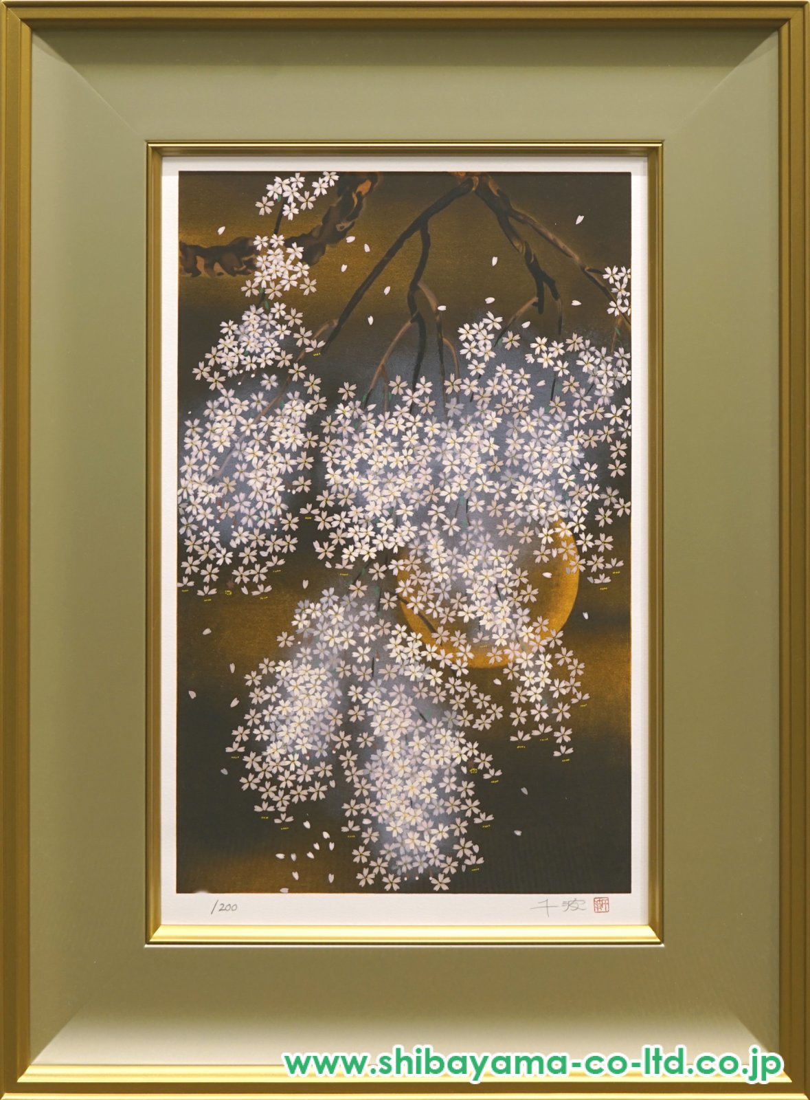 断*郎様 中島千波 御車返の桜 1997年 断*郎様