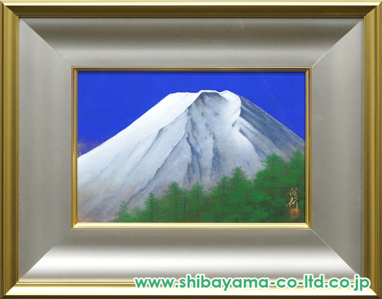 16631_8c8531622c1e2aec79a1e68f