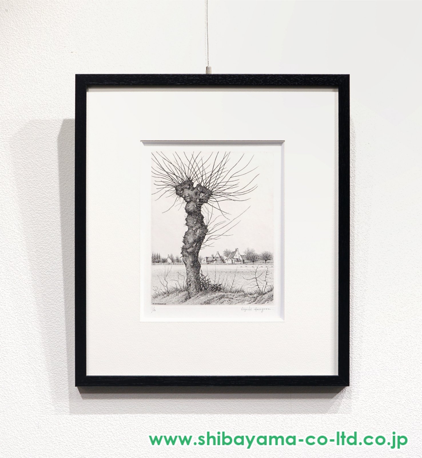 長谷川潔「長谷川潔の肖像より『ニレの老樹』」エッチング :: 絵画買取