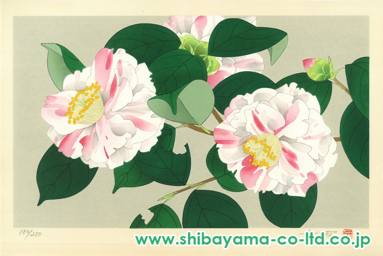 真作 中島千波 ジクレー 坪井の枝垂れ桜 額装 直筆サイン 真作 中島