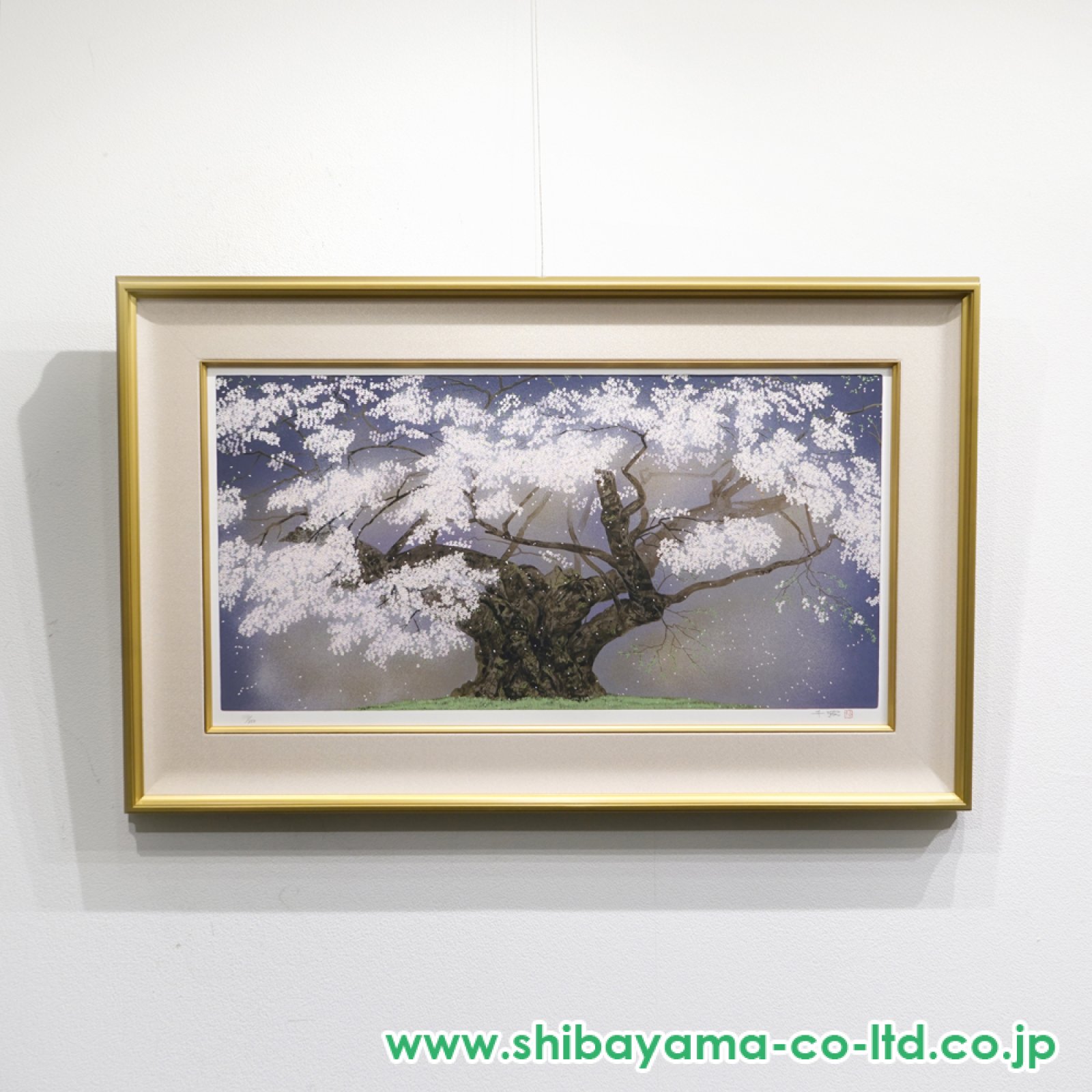 3027_0874f3989f7923a6a6faa64bc