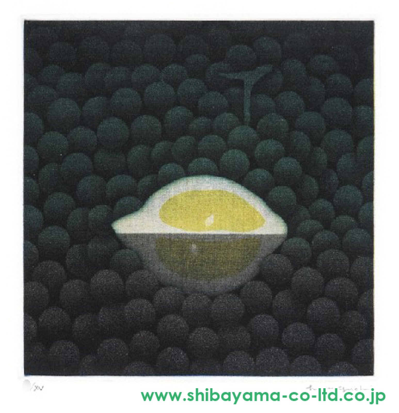 浜口陽三「1/4のレモン」カラーメゾチント :: 絵画買取・販売 - シバヤマ