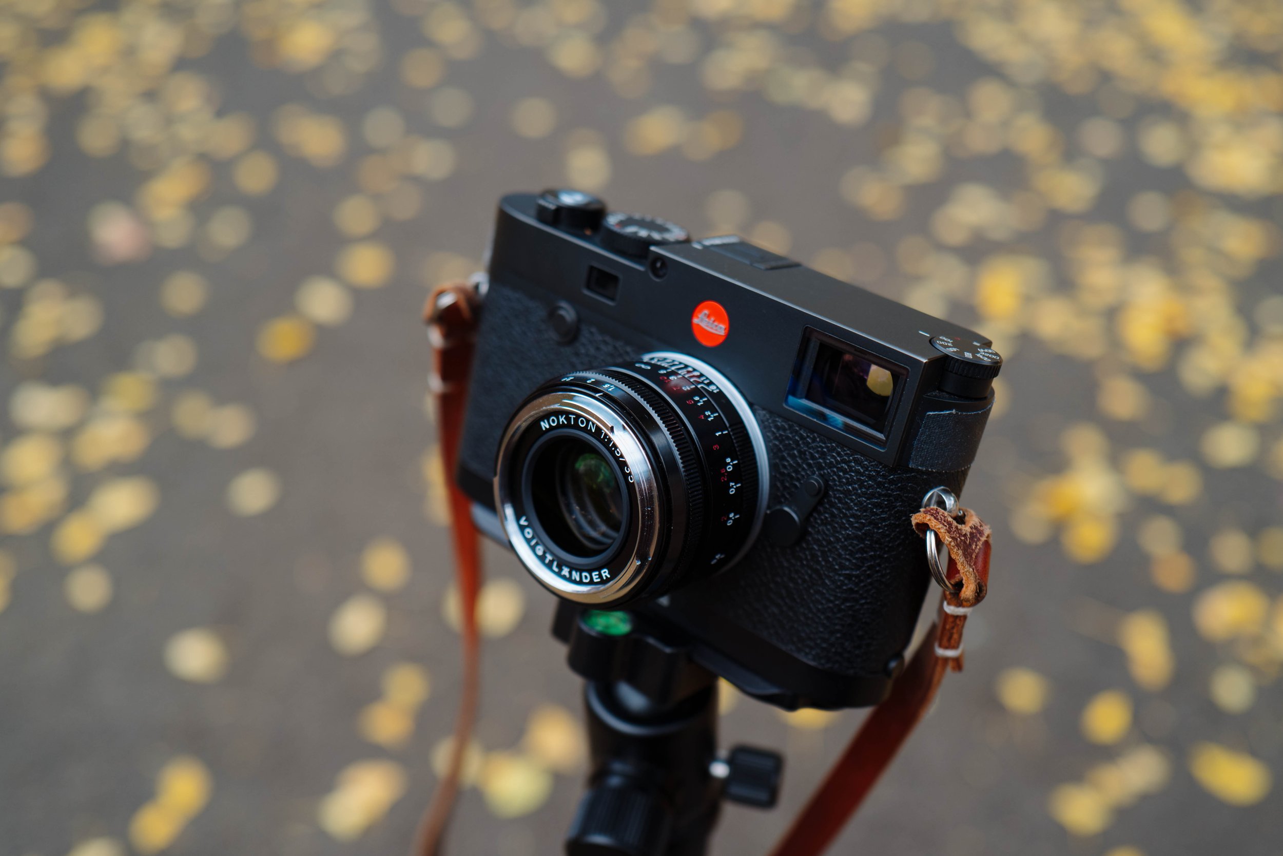 Review: Voigtlander 35mm f/1.5 Nokton — Jack Takahashi