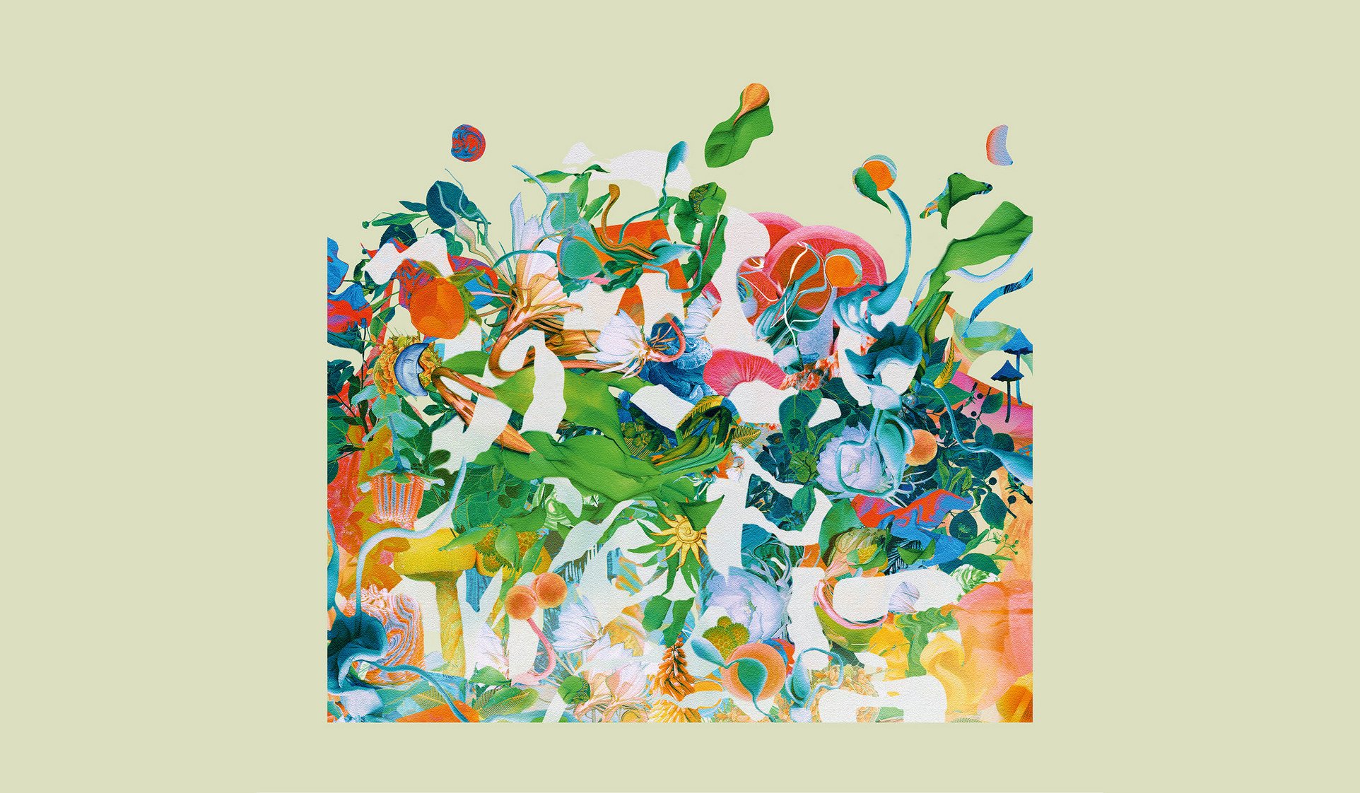 水彩画 生物細密画「ヤシガニ」 真作