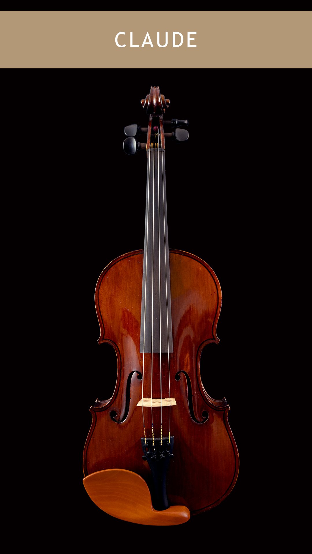 Paesold Violin — Vermont Violins