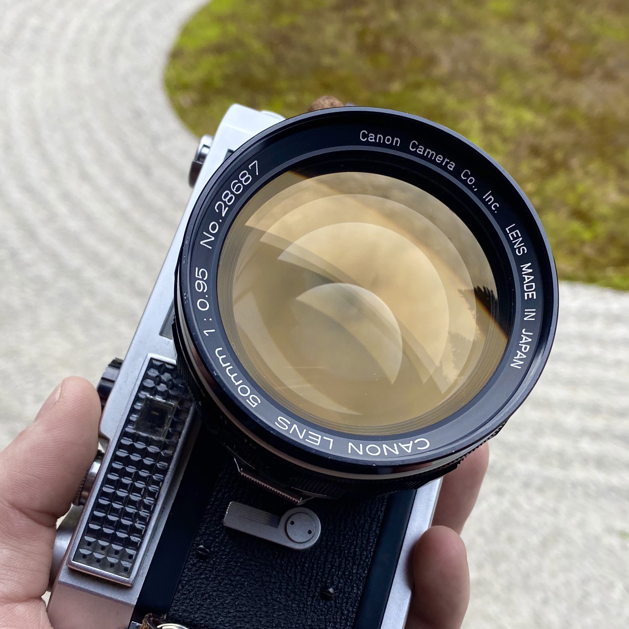 Living with the Canon 50mm f0.95 