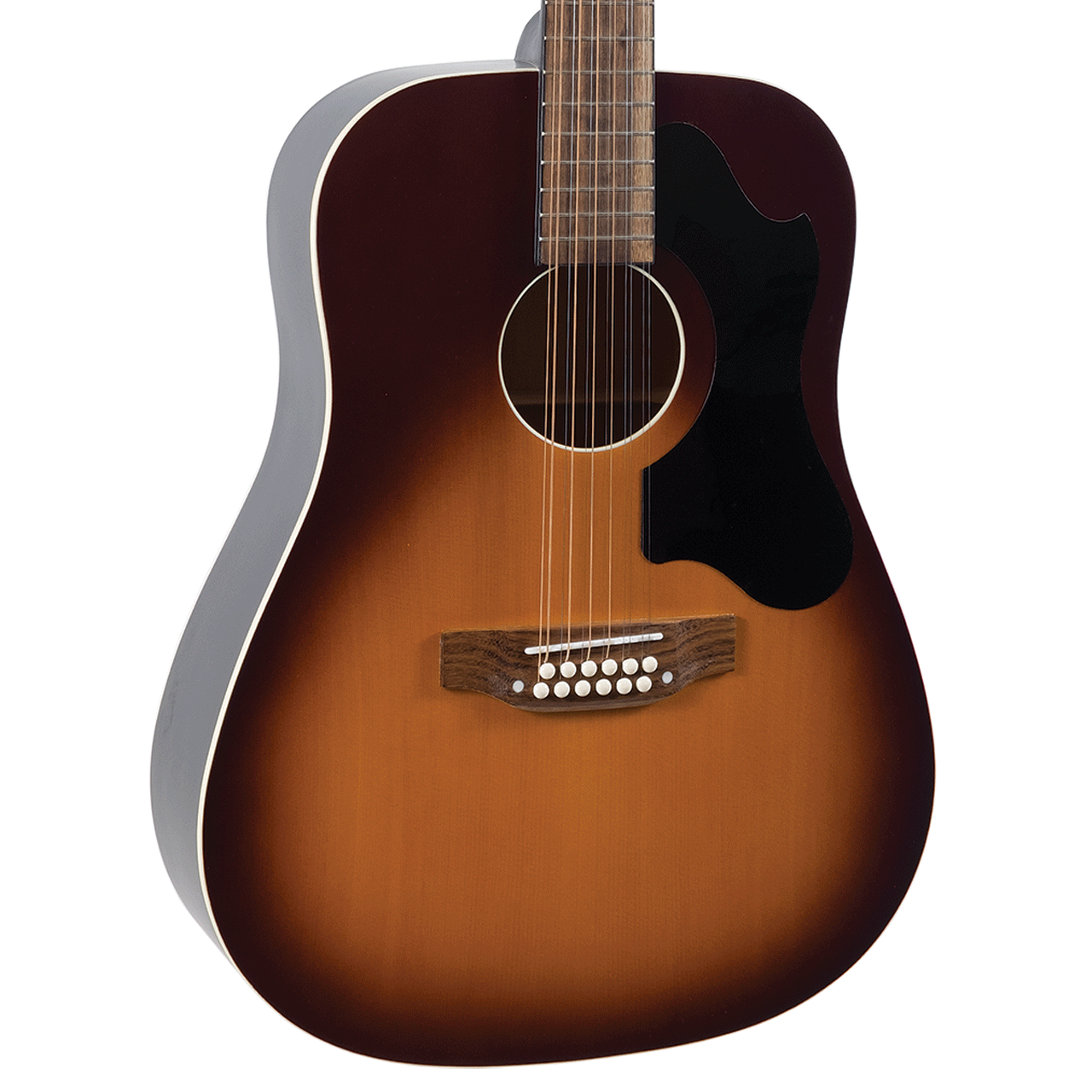 エレアコ Recording King RDS-9-12-FE5-TS 12弦 エレアコ Recording