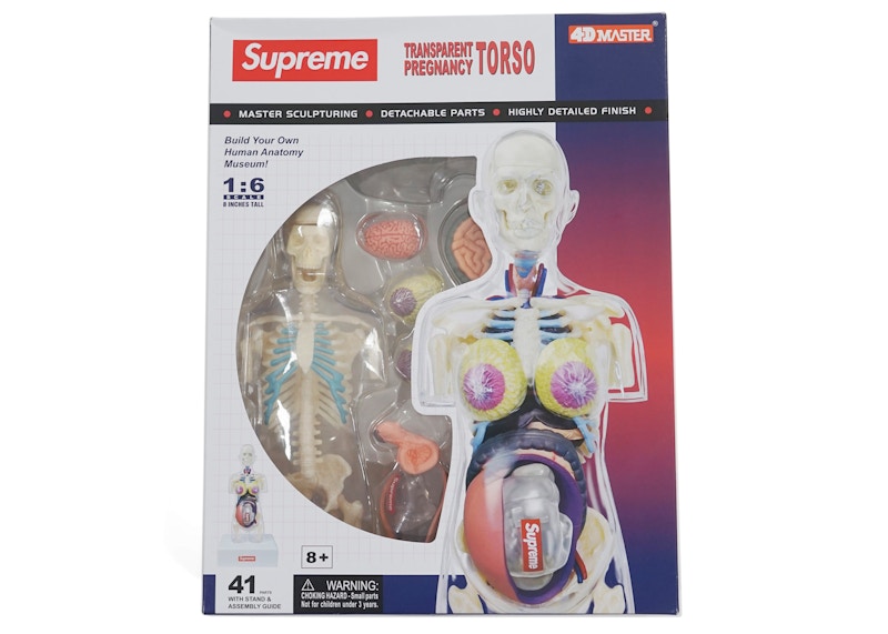 新品未使用 Supreme Female Anatomy Model 人体模型 【公式通販】