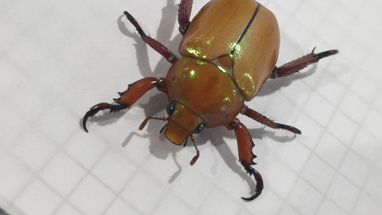 ?width=1280&size=1.77777778