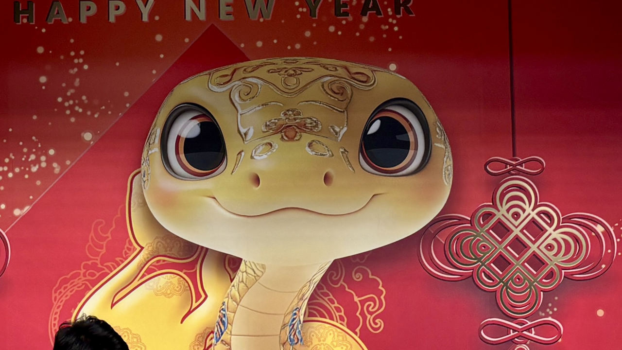 蛇 #チベット #能力神 #souvenir #snake #chinese 蛇 #チベット #能力