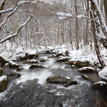 8669d096112032516e8dc8a0f151ed