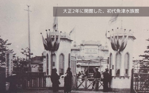 魚津水族館 入館年間パスポート引換券/一般(高校生以上)※北海道・沖縄