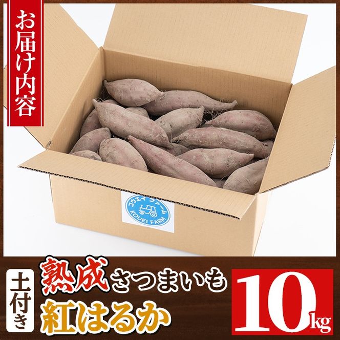 a845 《種類・内容量が選べる》鹿児島県産さつまいも土付き5～10kg