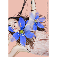 大塚愛 クリアファイル 2枚セット 大塚 愛の商品｜mu-moショップ