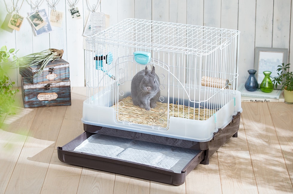 初心者おすすめ】うさぎのトイレのニオイを解決！｜ホームセンターの